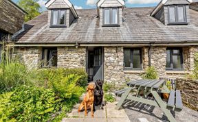 Photo of in Cilycwm (BN094)