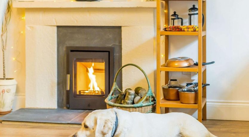 Photo of 1 Bed in West Buckland