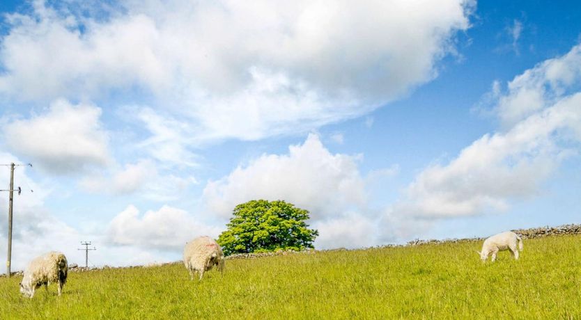 Photo of 2 Bed in Harford