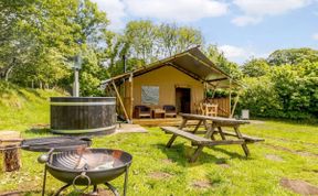 Photo of in Dartmoor National Park (88089)