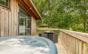 Photo of in Sherwood Forest  (88427)