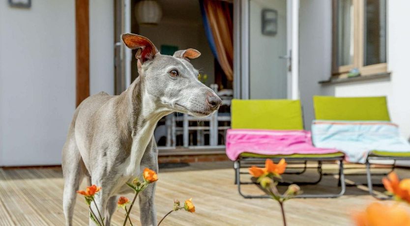 Photo of 4 Bed in Lynstone