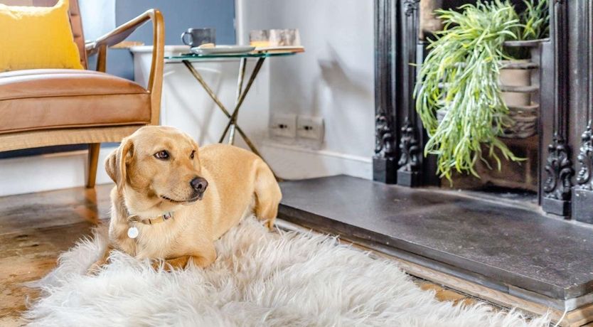 Photo of 3 Bed in Greenodd