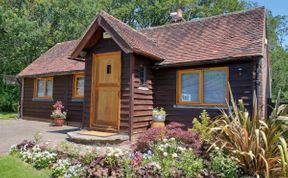 Photo of in Ashdown Forest (88488)