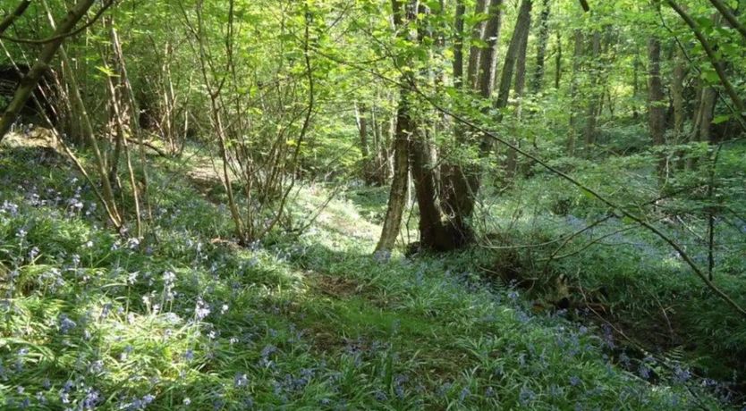 Photo of 1 Bed in Nutley