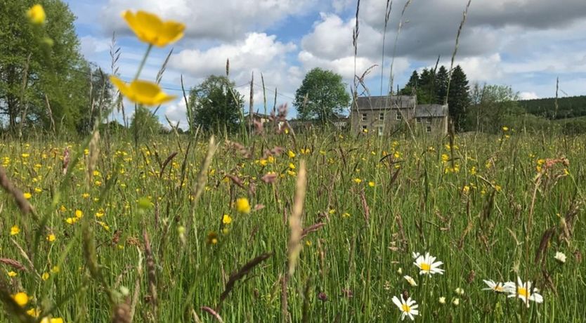 Photo of 3 Bed in Tarset