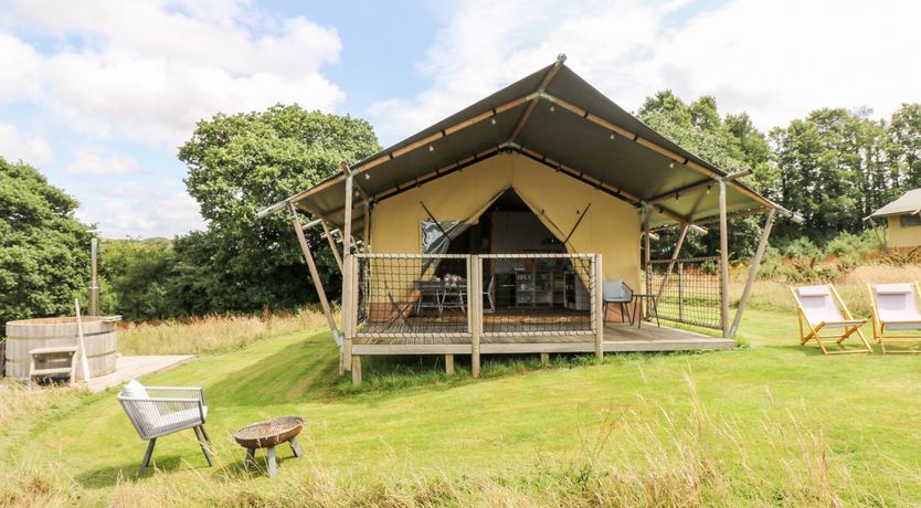 Photo of Bumble @ Stars & Embers Glamping