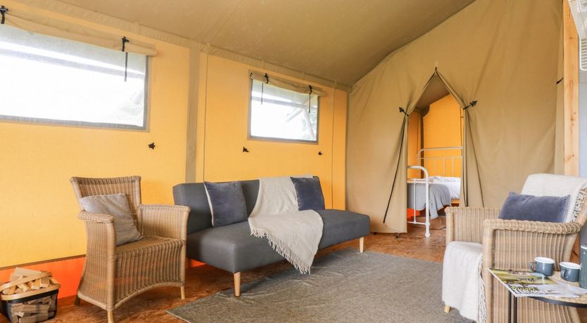 Photo of Bumble @ Stars & Embers Glamping