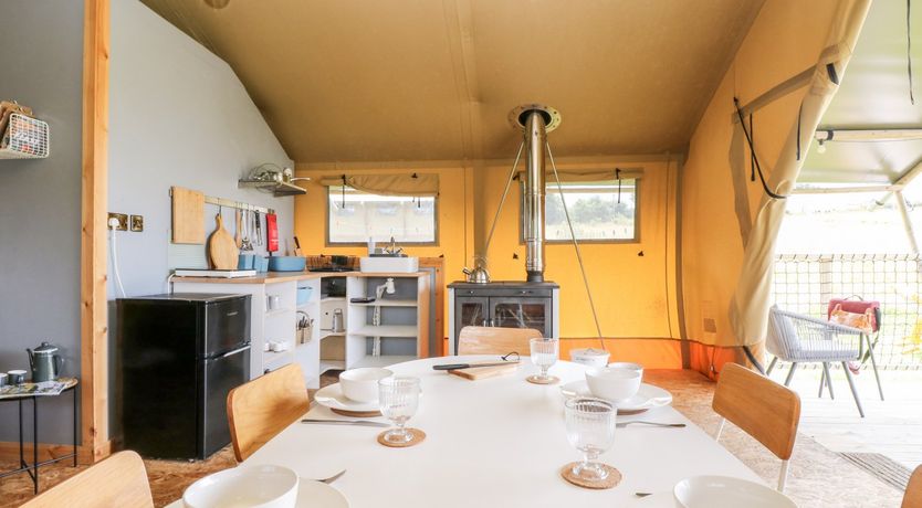 Photo of Bumble @ Stars & Embers Glamping