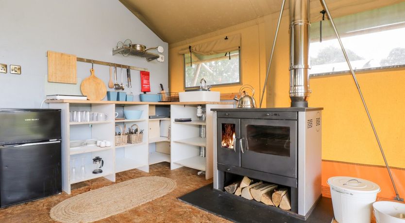 Photo of Bumble @ Stars & Embers Glamping