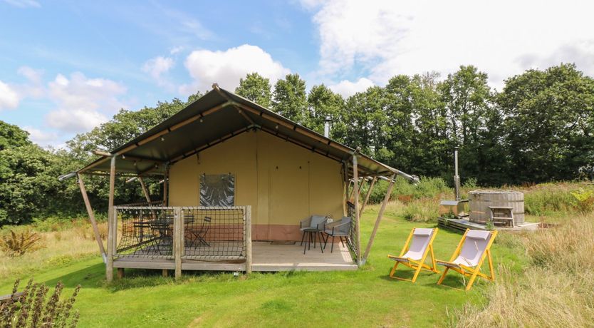 Photo of Honey @ Stars & Embers Glamping