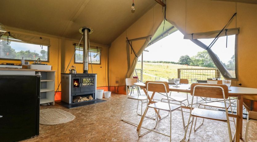 Photo of Honey @ Stars & Embers Glamping