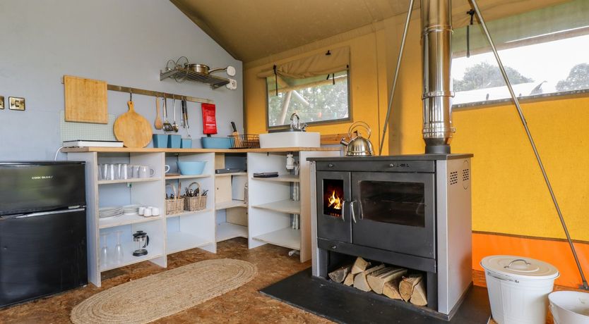 Photo of Honey @ Stars & Embers Glamping