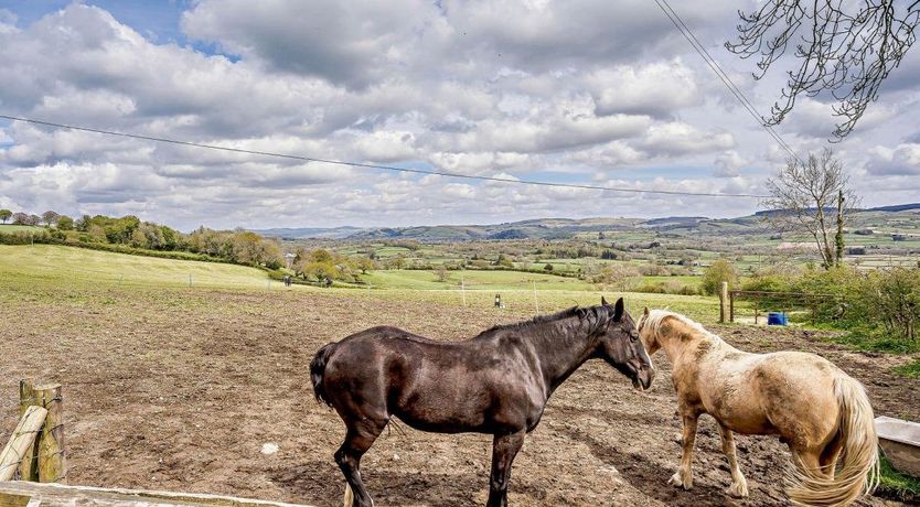 Photo of 2 Bed in Brynteg