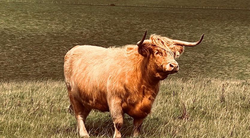 Photo of 1 Bed in Turnberry