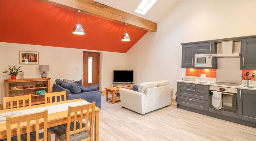 Photo of Pipistrelle