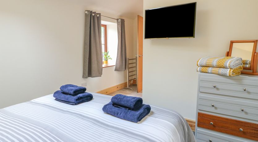 Photo of Pipistrelle