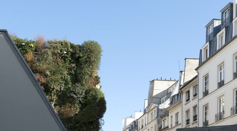 Photo of Petite Madeleine