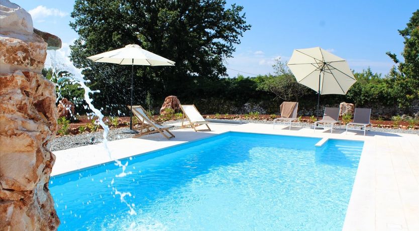 Photo of Terracotta Olive