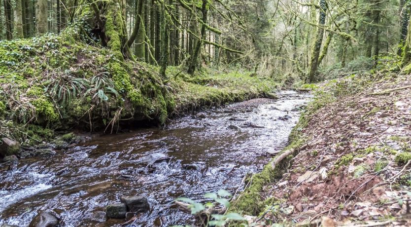 Photo of Pembroke Peace