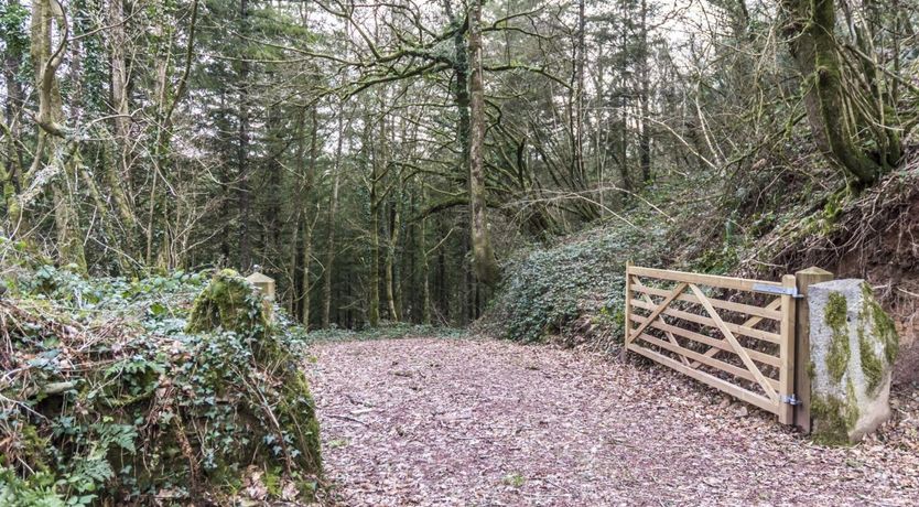 Photo of Pembroke Peace