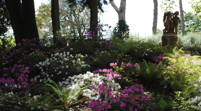 Photo of Nearest & Dearest