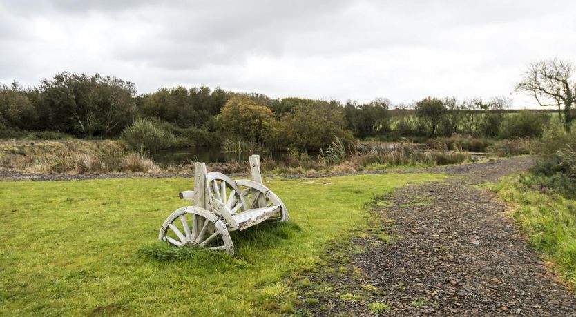Photo of Beach Bunny