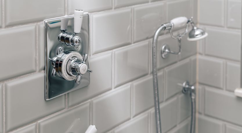 Photo of The Freewoman