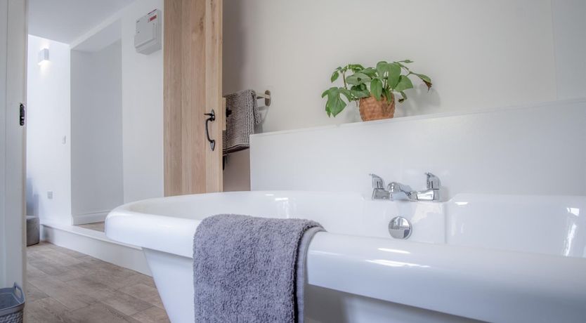 Photo of Call of the Curlew