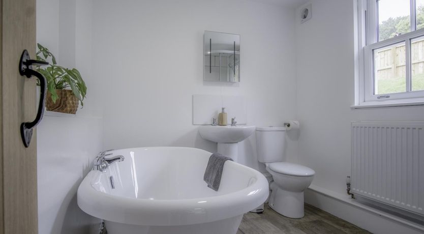 Photo of Call of the Curlew