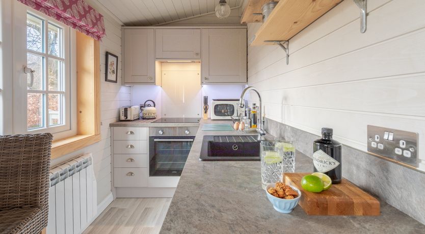 Photo of Copper Beech