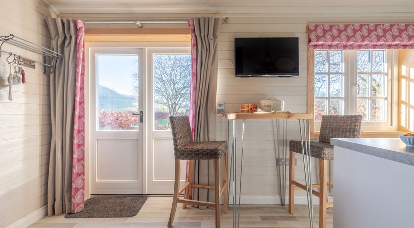 Photo of Copper Beech