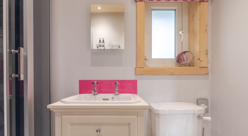 Photo of Copper Beech