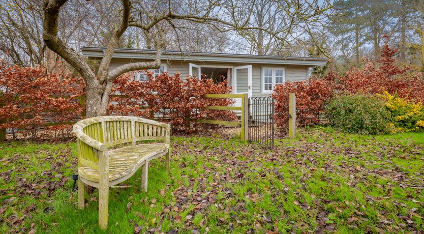 Photo of Copper Beech