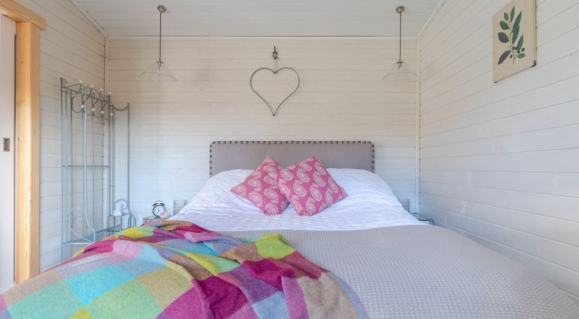 Photo of Copper Beech