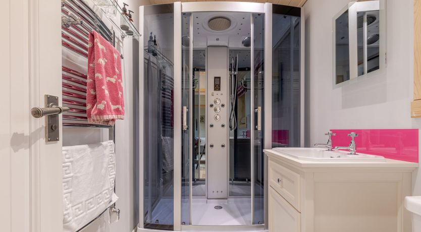 Photo of Copper Beech