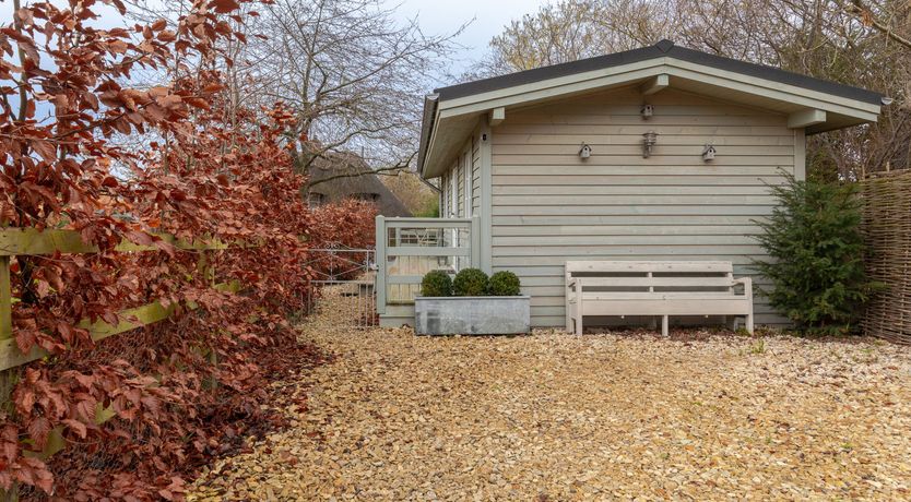 Photo of Copper Beech