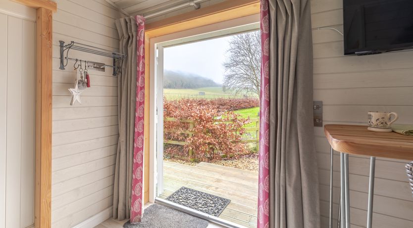 Photo of Copper Beech