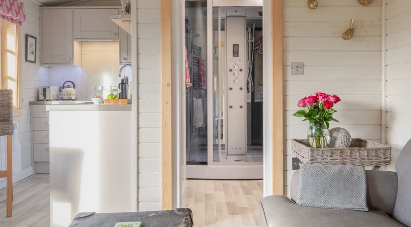 Photo of Copper Beech