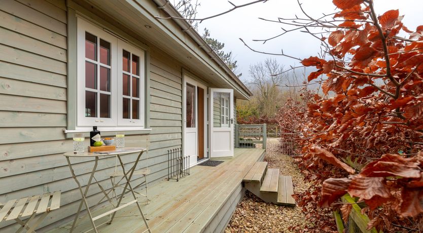 Photo of Copper Beech