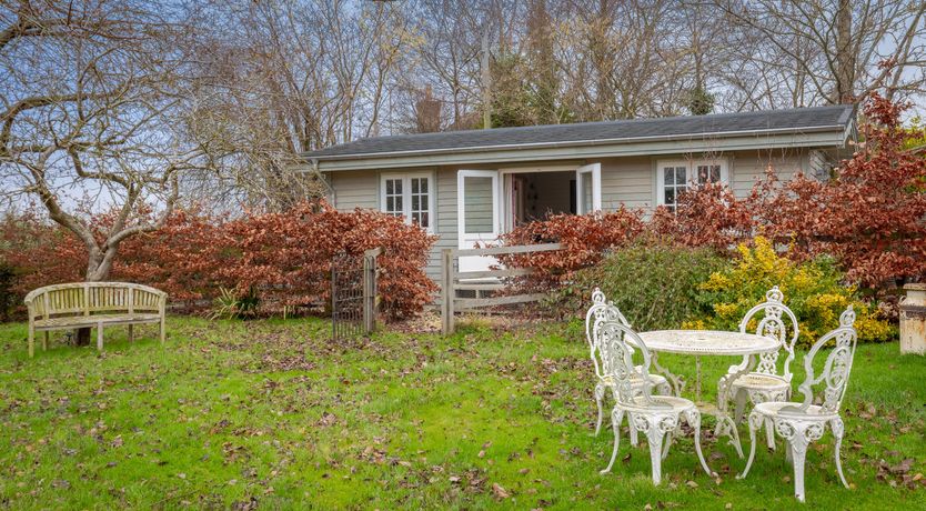 Photo of Copper Beech