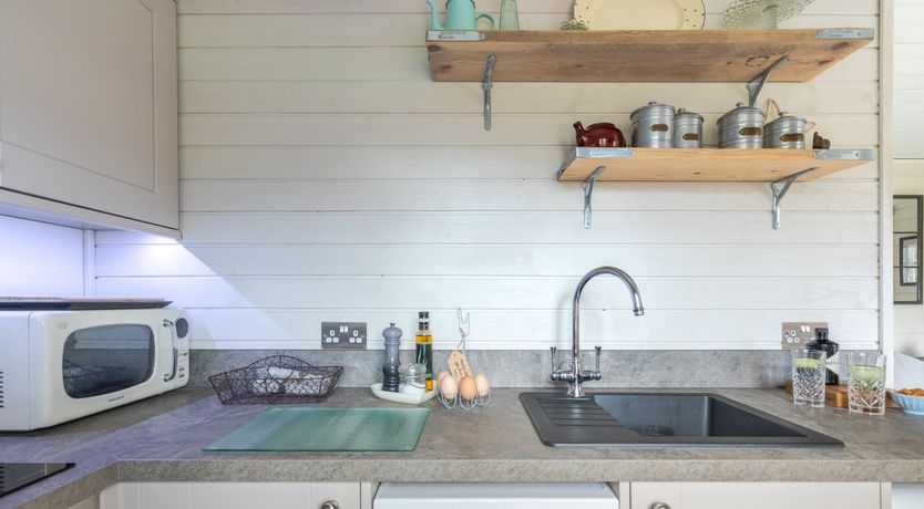 Photo of Copper Beech