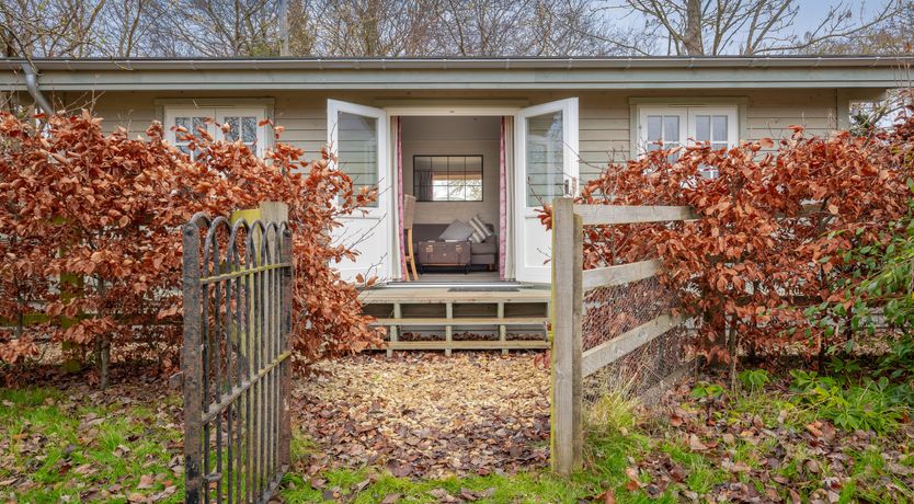 Photo of Copper Beech