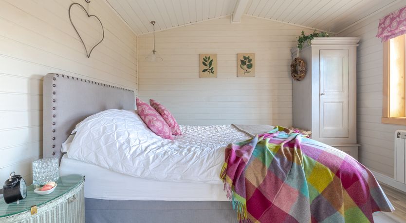 Photo of Copper Beech