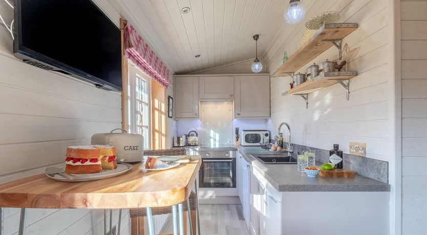 Photo of Copper Beech