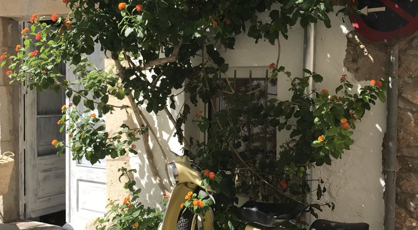 Photo of Driftwood Hideaway