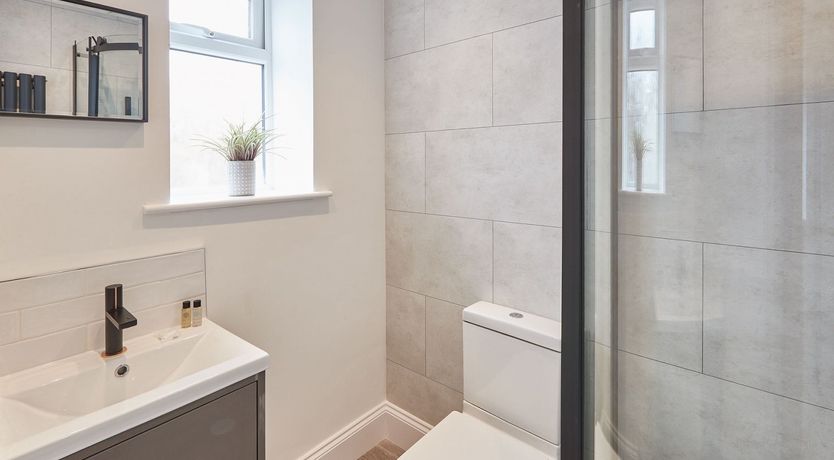 Photo of Brevity & Wit