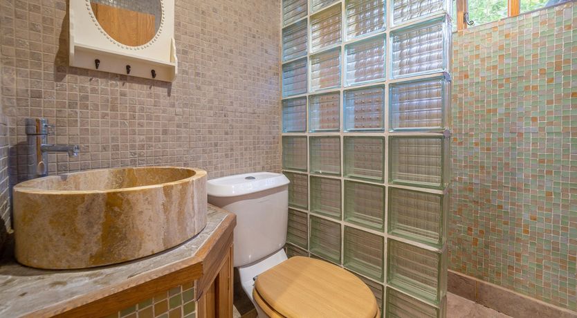 Photo of Ruffle Collar