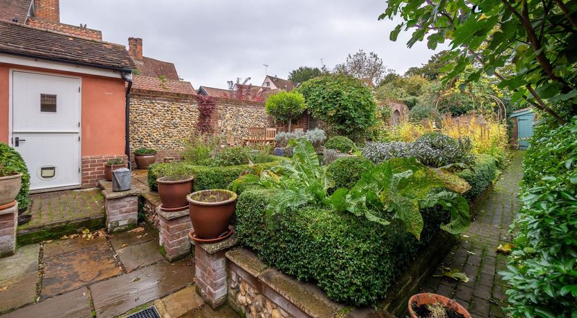 Photo of Ruffle Collar