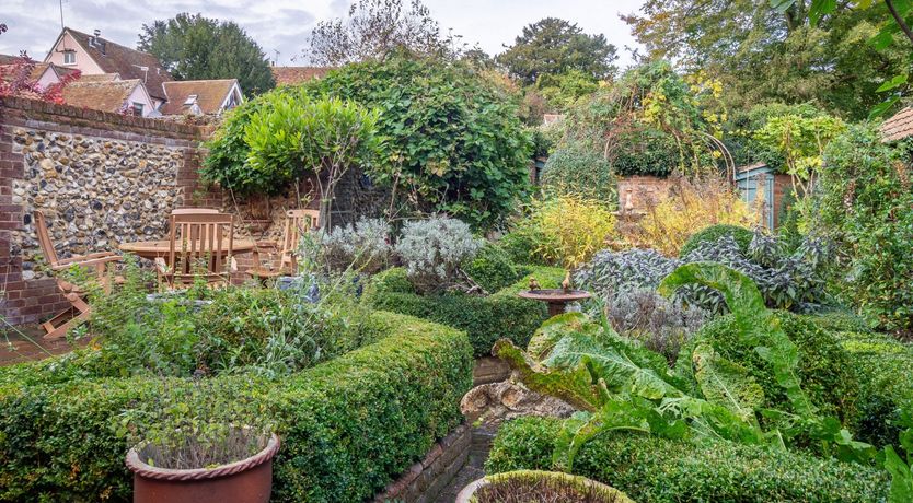 Photo of Ruffle Collar